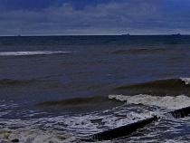 Согласованы национальные квоты по вылову рыбы в Куршском заливе на 2018 год