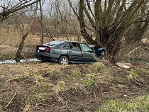 В Славске водитель с амнезией врезался в дерево