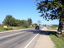 Дорожное предприятие возместило калининградцу 150 тысяч рублей за упавшее на автомобиль дерево