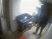 Тёмное порождение Гурьевска вылезло из-под земли в центре Калининграда