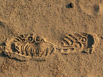 Житель Калининграда обнёс частный дом под Гурьевском на 400 тысяч рублей