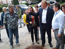 Ярошук рассказал, зачем вырубают деревья 