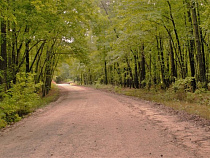 Антон Алиханов предупредил министра природных ресурсов Калининградской области