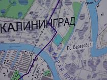 Цуканов обсудил с главой "Интер РАО" повышение энергомощностей в регионе