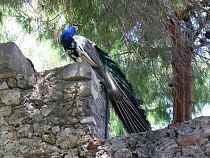 Туристам Калининградской области неприлично подняли цену поездок в ОАЭ