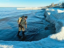 В Зеленоградске ловят янтарь в 12-градусный мороз (видео)