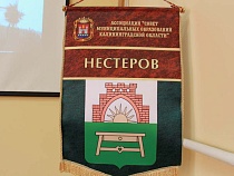 Девочку из Нестерова лишили назначенного врачом бесплатного лекарства