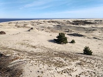 Шашлыки запретили даже в глэмпингах Куршской косы