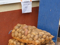 Калининград претендует на звание картофельной столицы России 