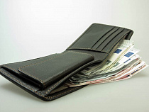 В Багратионовском районе у 60-летнего иностранца украли кошелёк на АЗС