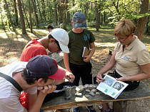 Школьники на Куршской косе сняли с ящерки трёх клещей