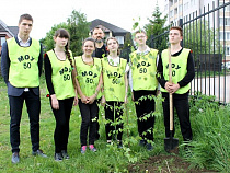 В Калининграде спасено 800 деревьев