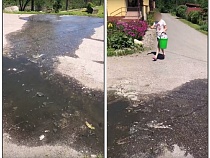 «Мы все задыхаемся»: в Холмогоровке сняли на видео вечную реку фекалий