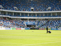 Открыты продажи билетов на футбольный матч Россия — Швеция в Калининграде