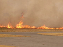 Россельхознадзор призывает отказаться от выжигания полей