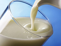 Турецкое молоко появится на российских прилавках с 15 октября