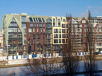 На набережной Преголи срубят три дерева