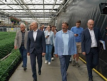 Власти компенсируют калининградским аграриям 20% потерь от заморозков