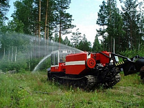 Калининградской области выделили около 8 млн. рублей на защиту лесов от пожаров