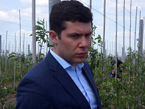 Пять депутатов не отчитались перед Антоном Алихановым о доходах