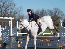 Под Калининградом пройдет новогодний турнир по конному спорту