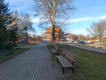 Балтийск поставит у себя сразу семь новогодних ёлок