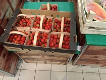 В приехавшей из Польши в Калининград сирени нашли болезнь клубники