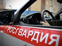 Должник по налогам из Полесска попался на краже спиртного на Сельме