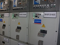 Под Неманом воровали электричество по-крупному