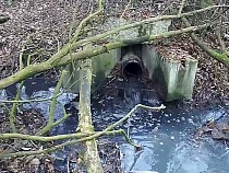 В Малом Васильково МУП из Гурьевска сбрасывает канализацию в реку