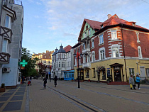 32-летний детина украл у трёх детей смартфоны в Зеленоградске