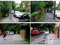 В Калининграде возобновили стрижку улиц