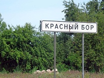 В Полесском районе жительница обнаружила отсутствие подъезда к дому