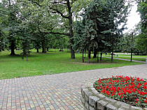 Автора «зелёного» пояса Кёнигсберга могут увековечить