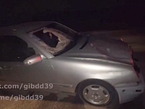 Под Гусевом пешеход пробил головой лобовое стекло «Мерседеса»