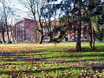 В Калининграде приморозит к концу января