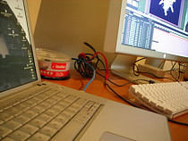 Светлогорская прокуратура вступилась за чиновника, которого уволили с работы за просмотр порнографических сайтов