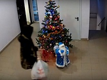 В Калининграде украли засидевшегося Деда Мороза