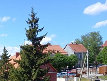 В Гвардейске туристов оттеснили от единственного общественного туалета