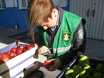 В Калининградской области зафиксирован повышенный спрос на импортные яблоки