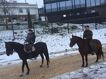 Казаки на конях патрулируют родину янтаря (фото)