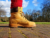 Травмированная во время сильного ветра женщина засудила управляющую компанию