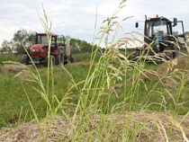  Земельный участок под Калининградом более девяти лет не обрабатывался и не использовался собственником