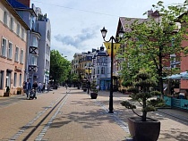 В Зеленоградске назвали день бесплатной раздачи курортных роз 