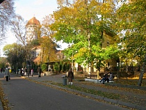 Росгвардия не дала гурману бесплатно поесть в кафе «Вика» в Светлогорске