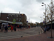 Правительство ищет деньги на выкуп птичьего рынка 