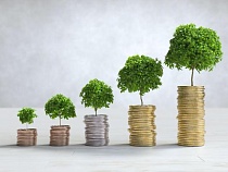 Микрозаём как финансовая подушка: когда это разумный инструмент, а когда лучше отказаться