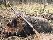 Под Калининградом полиция задержала троих браконьеров с тушами косуль и кабанов