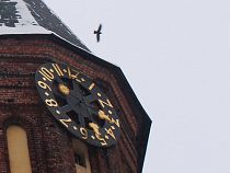 Калининградские календари на 2016 год выйдут с эпиграфами местных поэтов  