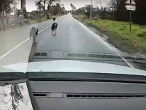 В Ладушкине водителей встречают «разбойники» (видео) 